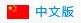 中文版